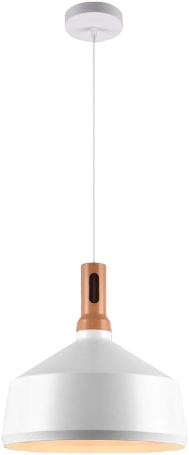 Lampadario da soffitto a sospensione con attacco E27 (lampadina non inclusa) moderno stile industriale A93