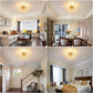 TEKHOME Lampadario Camera Da Letto Moderni, Oro/Argento, Plafoniera soffitto con cristalli di fuochi d'artificio, 10X G9, Lampade a sospensione pre Soggiorno, Cameretta PN-13