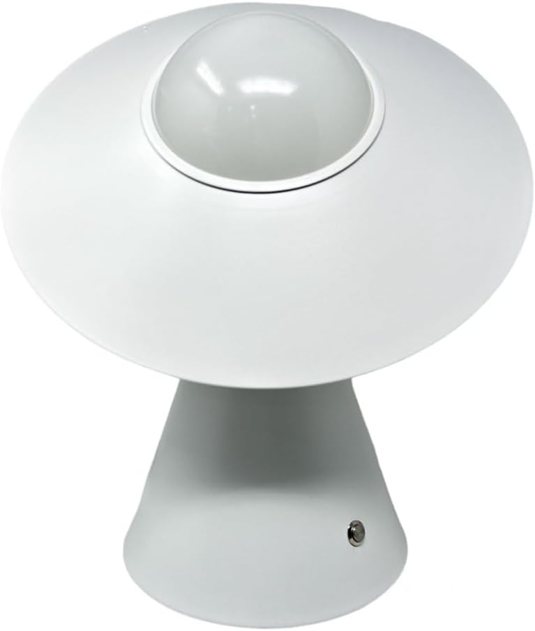 Lampada da Tavolo E27  – Design Moderno con Paralume Inclinato, Lampada da Comodino in Metallo, per Camera da Letto, Soggiorno, Studio   D13