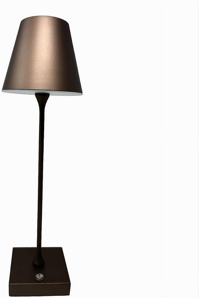 Lampada da Tavolo Ricaricabile LED  – Senza Fili, 3 Temperature di Colore, Dimmerabile Touch, USB, Moderna per Ristorante, Camera, Comodino D27-3C