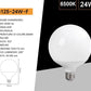 Lampadine LED E27 G125 24W, Confezione da 6 Pezzi, 2500LM, Globo Grande Ø125 mm, Naturale 4000K, CRI>80, Angolo 220°, Risparmio Energetico, Modello G125-24W
