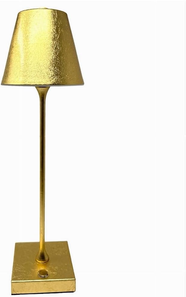 Lampada da Tavolo Ricaricabile LED  – Senza Fili, 3 Temperature di Colore, Dimmerabile Touch, USB, Moderna per Ristorante, Camera, Comodino D27-3C