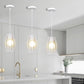 Lampadario da soffitto pendente a sospensione di forma ovale nero o bianco portalampada con attacco e27  A34
