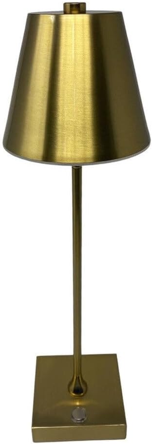 Lampada da Tavolo Ricaricabile LED  – Senza Fili, 3 Temperature di Colore, Dimmerabile Touch, USB, Moderna per Ristorante, Camera, Comodino D27-3C