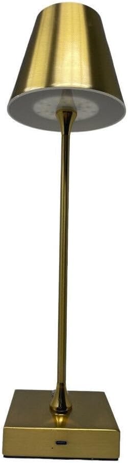 Lampada da Tavolo Ricaricabile LED  – Senza Fili, 3 Temperature di Colore, Dimmerabile Touch, USB, Moderna per Ristorante, Camera, Comodino D27-3C