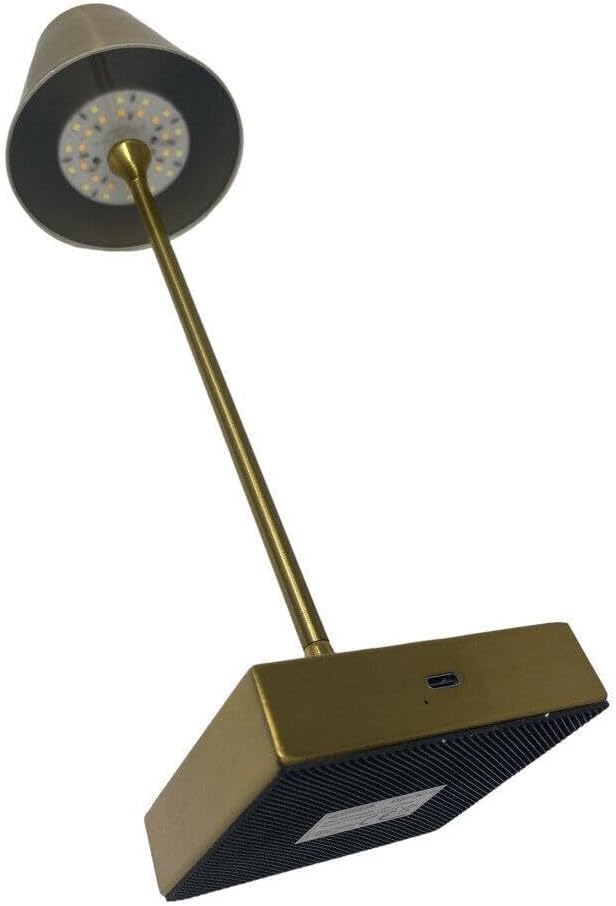 Lampada da Tavolo Ricaricabile LED  – Senza Fili, 3 Temperature di Colore, Dimmerabile Touch, USB, Moderna per Ristorante, Camera, Comodino D27-3C