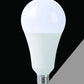 Lampadine LED E27 A95 25W 6 Pezzi, 2500LM, Naturale 4000K, Grande Formato A95, Alto Risparmio Energetico, Accensione Istantanea, Serie A95-25W
