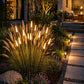 Lampada da Giardino Decorativa LED IP65 24V, Luci Esterno Design Atmosfera per Giardino Prato Bordo Vialetto, Luce Calda Moderna – MK24V-60-N